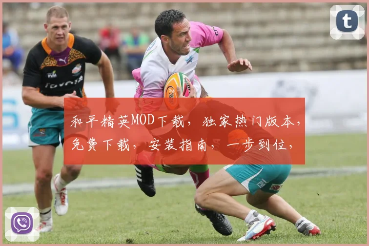 和平精英MOD下载，独家热门版本，免费下载，安装指南，一步到位，体验无限畅玩
