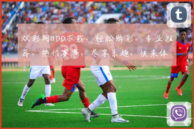 双彩网app下载，轻松购彩，专业推荐，热门赛事，尽享乐趣，快来体验