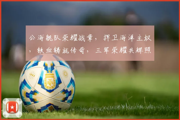 公海舰队荣耀战章，捍卫海洋主权，铁血铸就传奇，三军荣耀共辉照